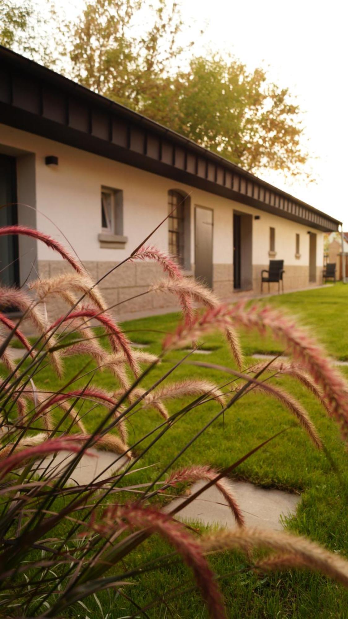 Remise Brasch - Zwischen Bahnhof Und Elbe Leilighet Wittenberge Eksteriør bilde